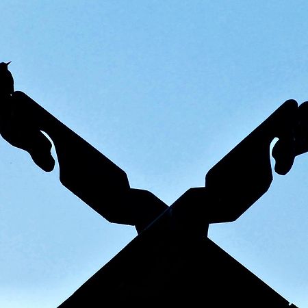 Вилла Griki Kalniski Экстерьер фото